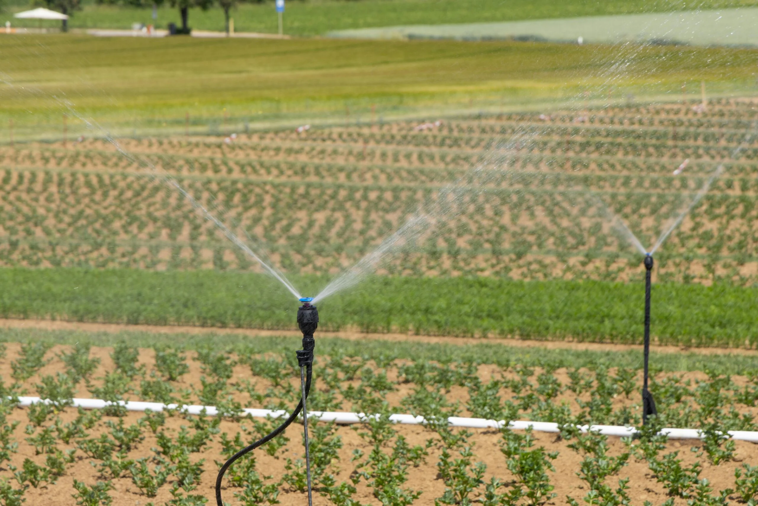 Vérification des vannes d'irrigation intelligentes : Étude de cas essentielle d'une ferme et d'un complexe de golf méditerranéens 1 Lansitec Pourquoi la vérification des vannes est devenue essentielle pour l'irrigation moderne